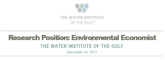 The Water Institute