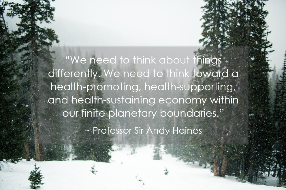 We need to think about things differently. We need to think toward a health-promoting, health-supporting, and health-sustaining economy within our finite planetary boundaries. Professor Sir Andy Haines