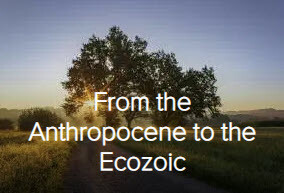 Economics for the Anthropocene