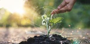 Limits to Growth