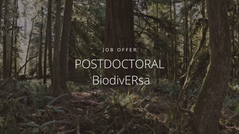 Job Offer Postdoctoral BiodivERsa